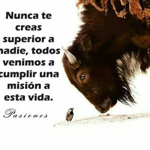 Meet your Posher, Walter