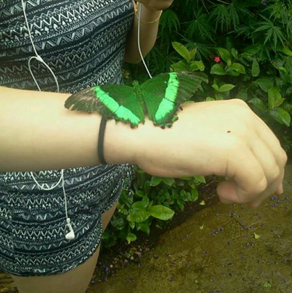 Meet your Posher, Abigail