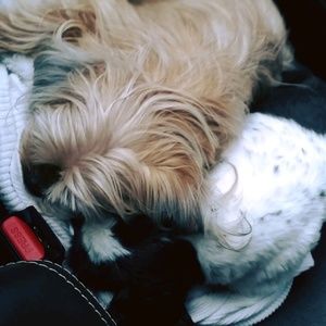 Meet your Posher, Candyce