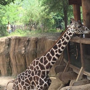 Meet your Posher, Ana