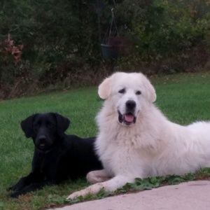 Meet your Posher, Jen