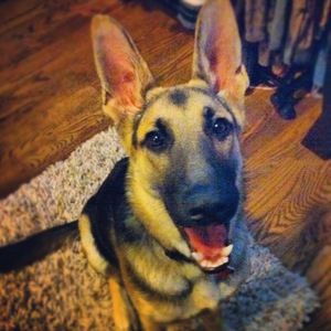 Meet your Posher, Denise