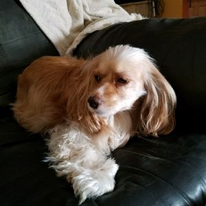 Meet your Posher, Karen