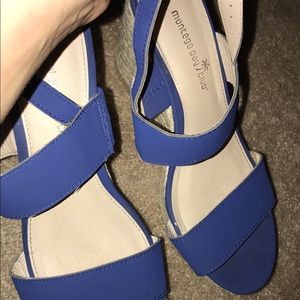 Blue wedges