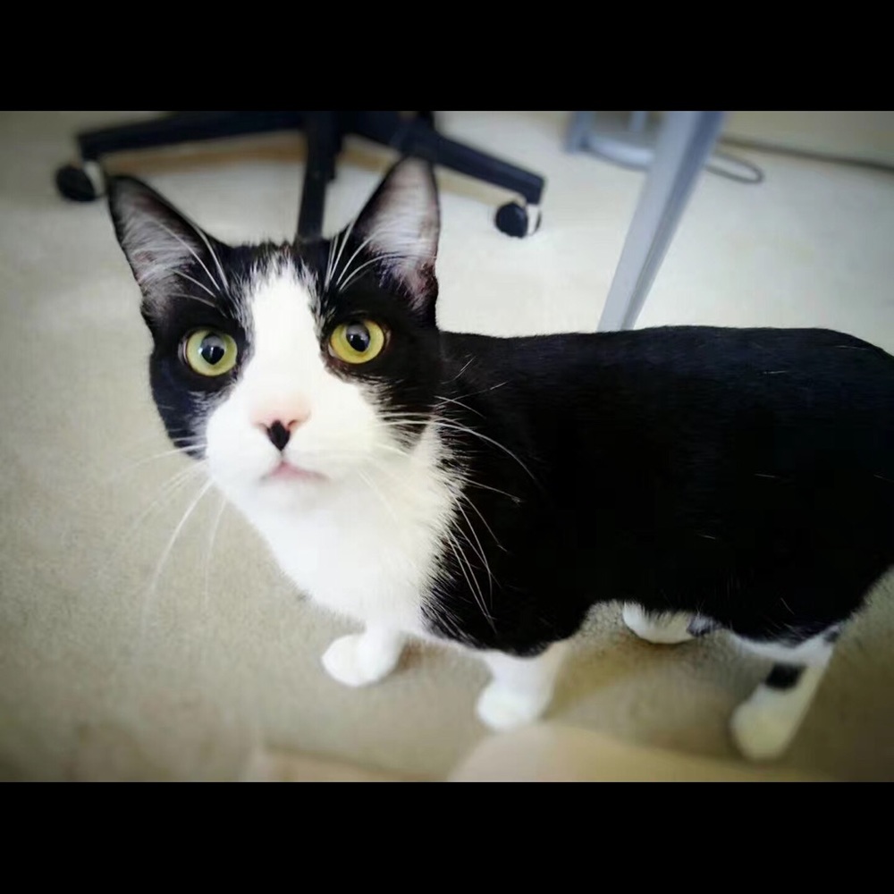 Meet your Posher, Vicky