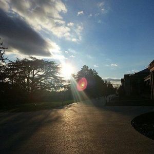 Meet your Posher, Peter