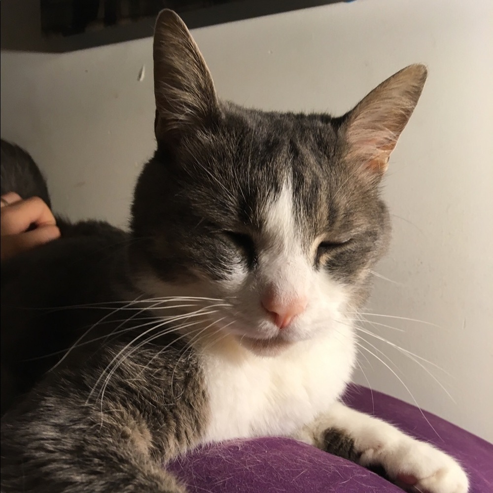 Meet your Posher, Caite