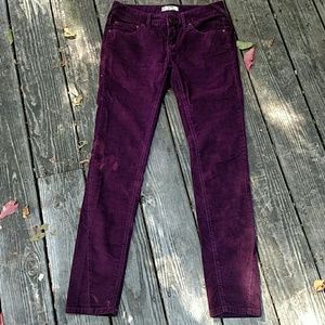 Free People Burgundy Straight Leg Corduroy