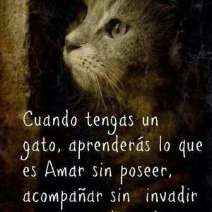 Meet your Posher, Noemi