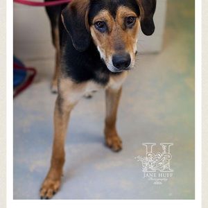 Meet your Posher, Angie