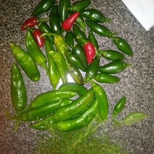 Meet your Posher, Adriana