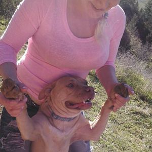 Meet your Posher, Johnnie