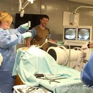 Meet your Posher, Angie