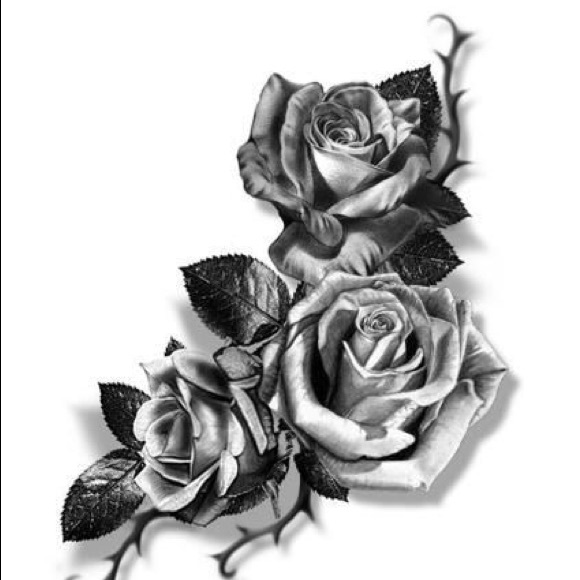 Meet your Posher, Zenny - Picture 1 of 1