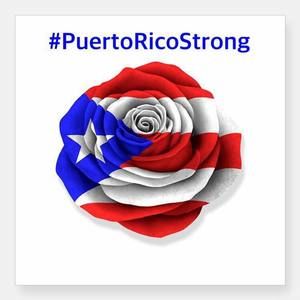 Meet your Posher, Marisol