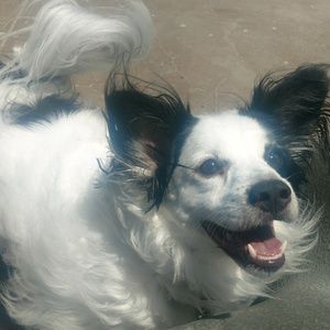 Meet your Posher, Edyie