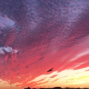 Meet your Posher, Larissa