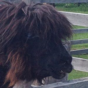 Meet your Posher, Mary kay