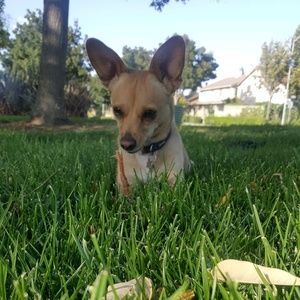 Meet your Posher, Danaka