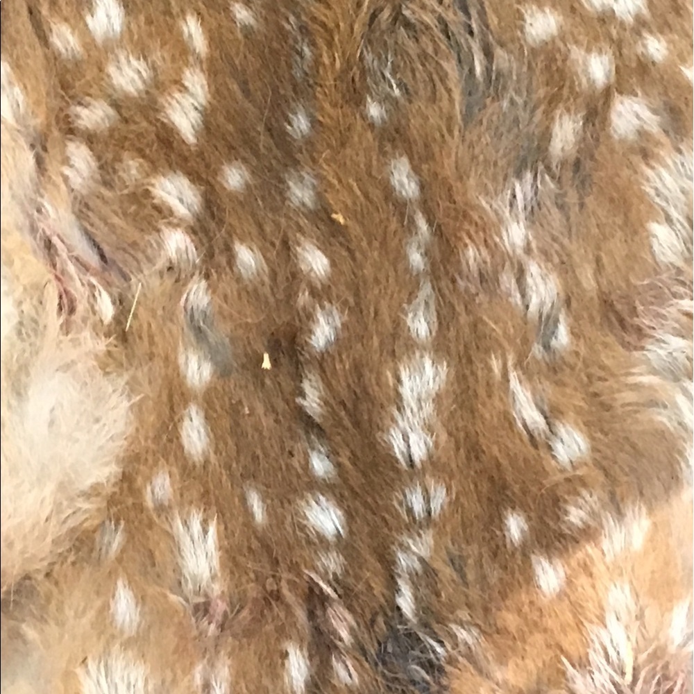 Meet your Posher, Carter