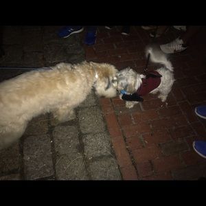 Meet your Posher, Gaurav