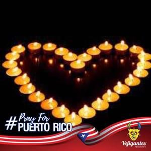 Meet your Posher, Elsie