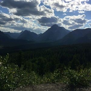 Meet your Posher, Tara