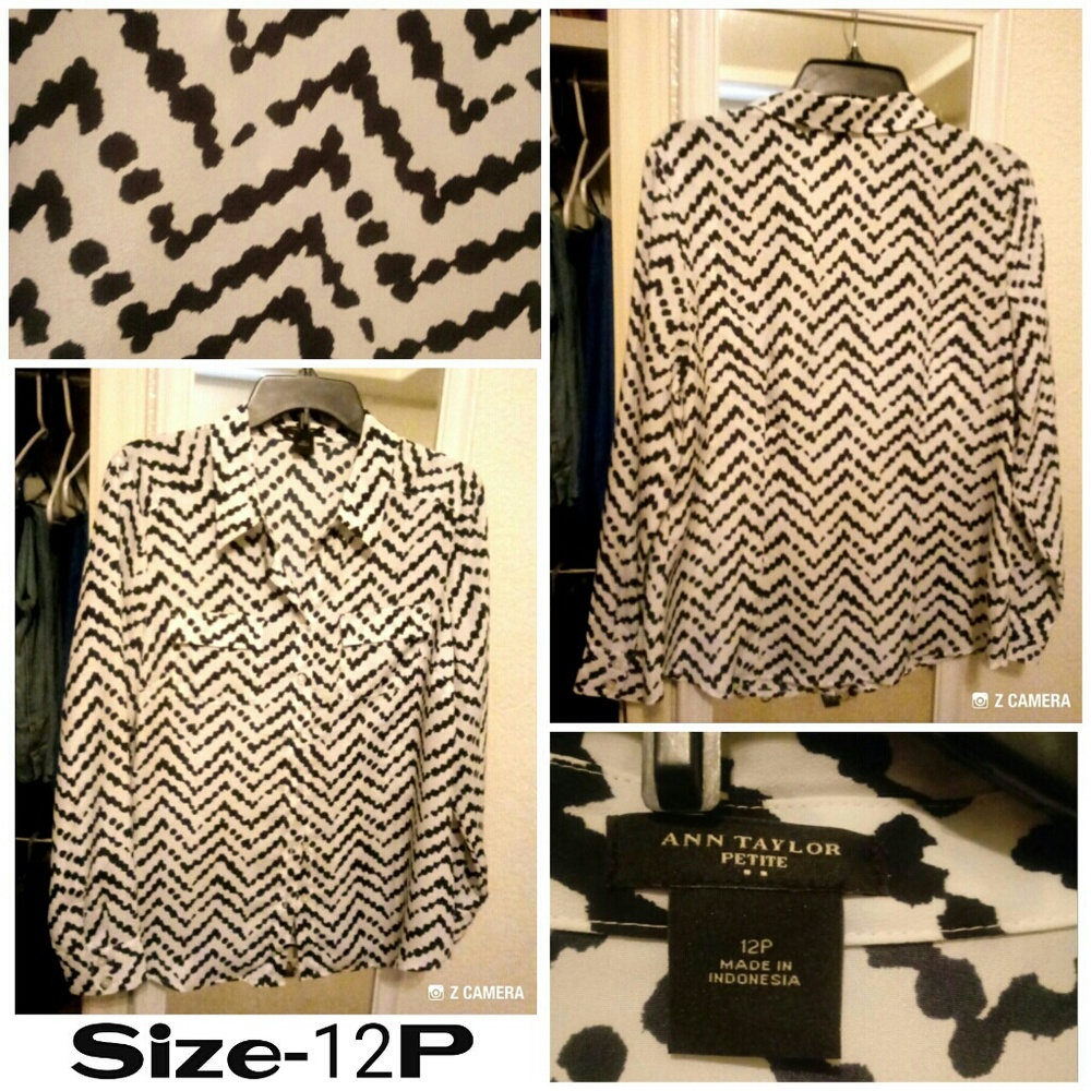 Ann Taylor Blouse
