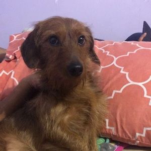 Meet your Posher, Azucena