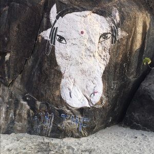 Meet your Posher, Karin