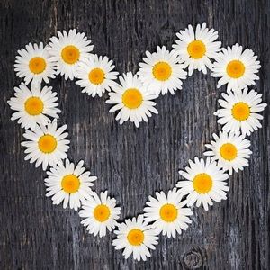 Meet your Posher, Shea