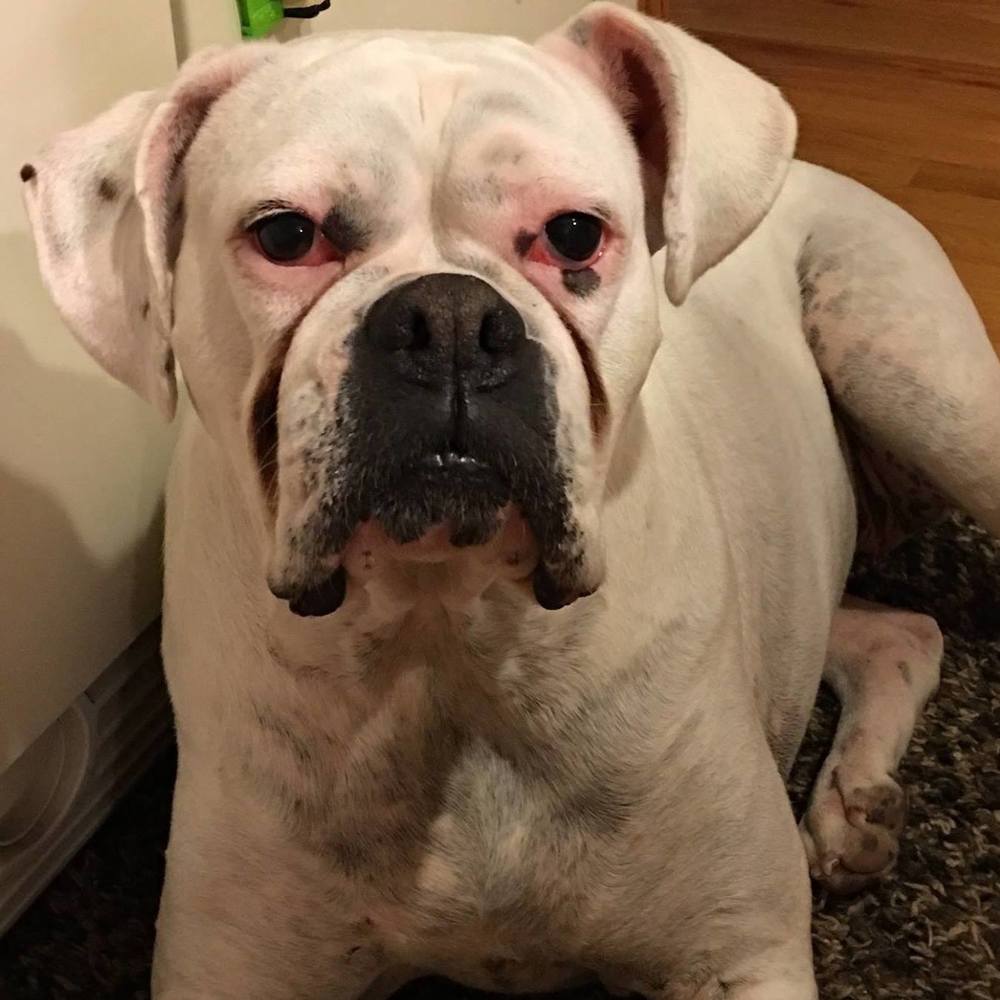 Meet your Posher, Kari