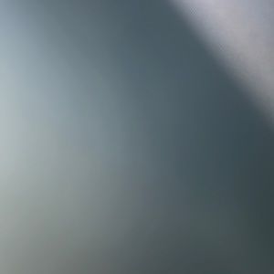 Meet your Posher, Ronnie