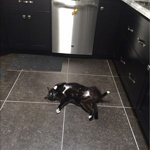 Meet your Posher, Nancy