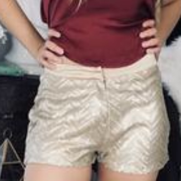 🎈SALE 🎈Twinkle In My Eye Sequin Shorts - Picture 4 of 4