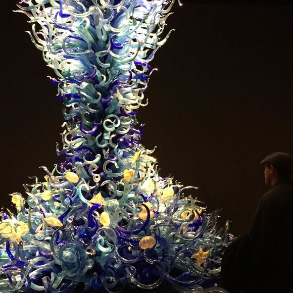 Meet your Posher, James - Picture 1 of 1