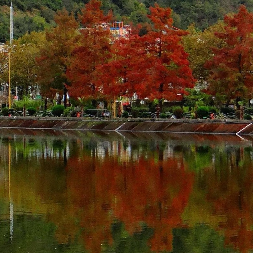 Meet your Posher, Termeh