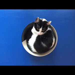 Meet your Posher, Jenny