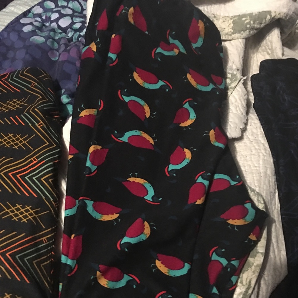Lularoe TC leggings with birds worn once