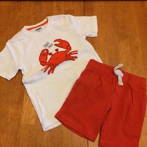 Gymboree Boys shorts and shirt set Size 2T