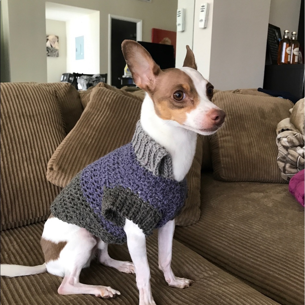 Meet your Posher, Courtney