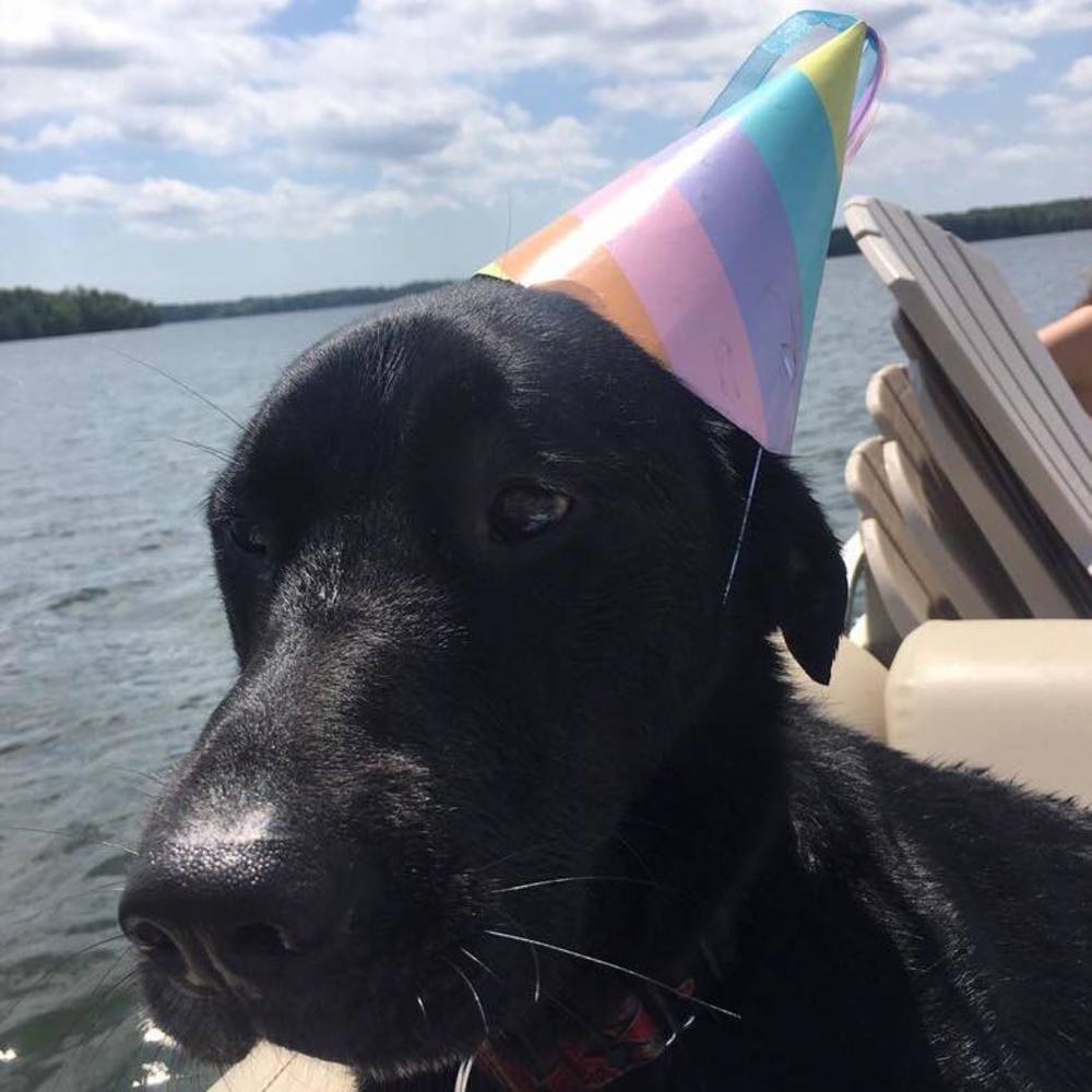 Meet your Posher, Alice