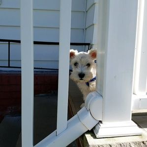 Meet your Posher, Sandra