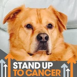 Meet your Posher, Glenda