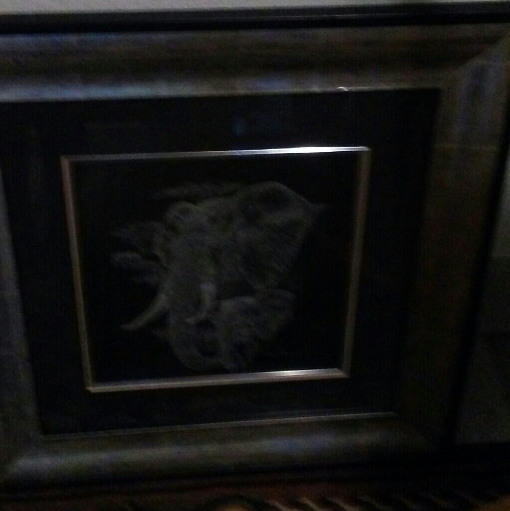 Pictures - Picture 4 of 4