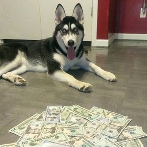 Meet your Posher, Cole