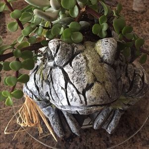 Meet your Posher, Dawn