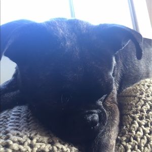 Meet your Posher, Alice