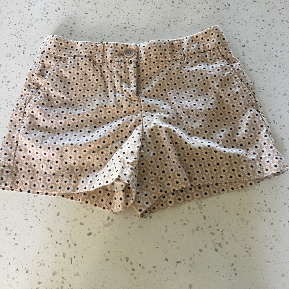 LOFT Shorts
