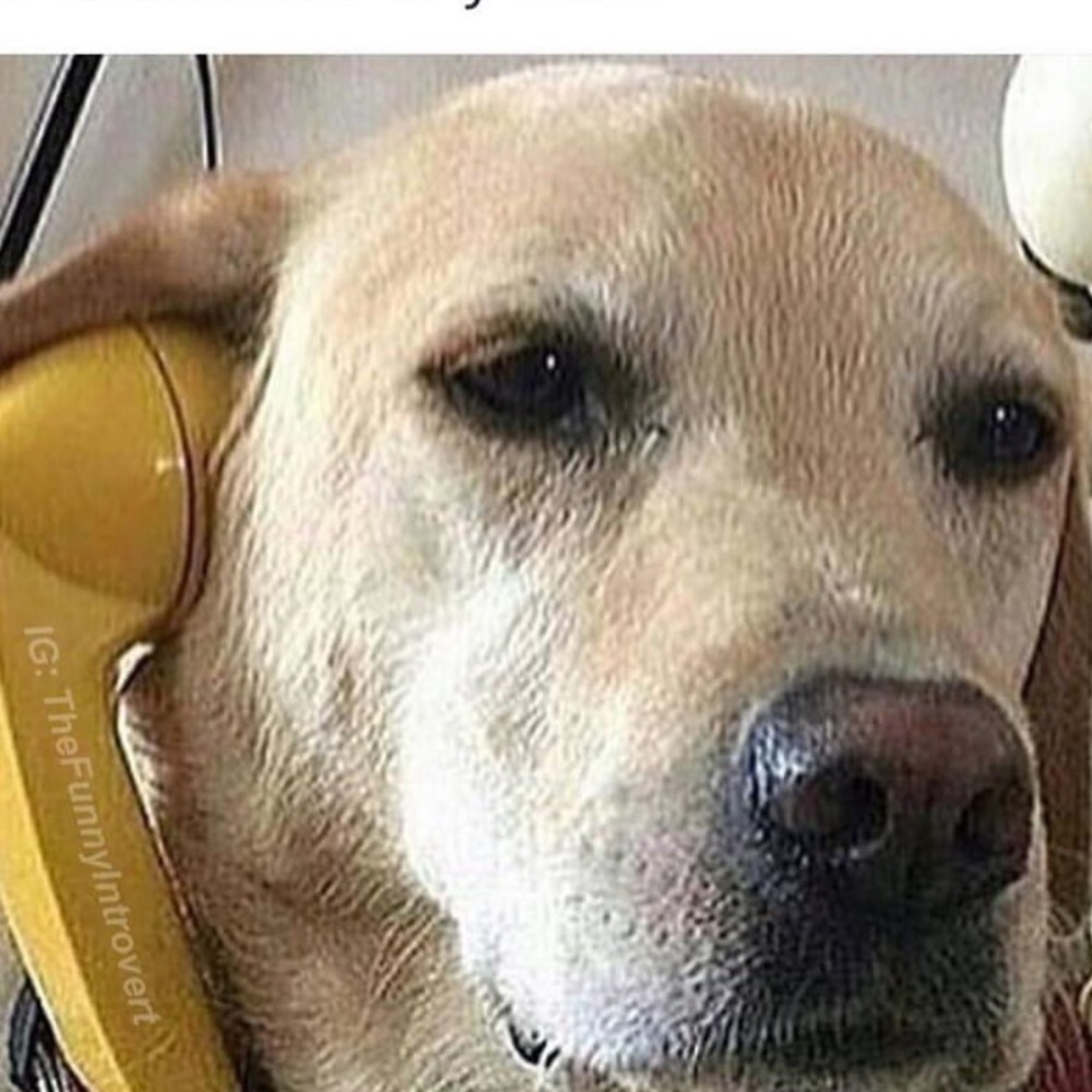 Meet your Posher, Lorcan